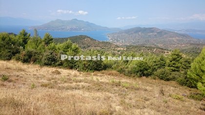 Landwirtschaftsfläche zu Verkaufen Agios, Nord Euboea (Code P-649)